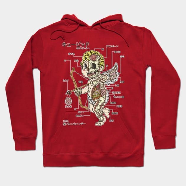 CUPID ANATOMY Hoodie by Firebrander